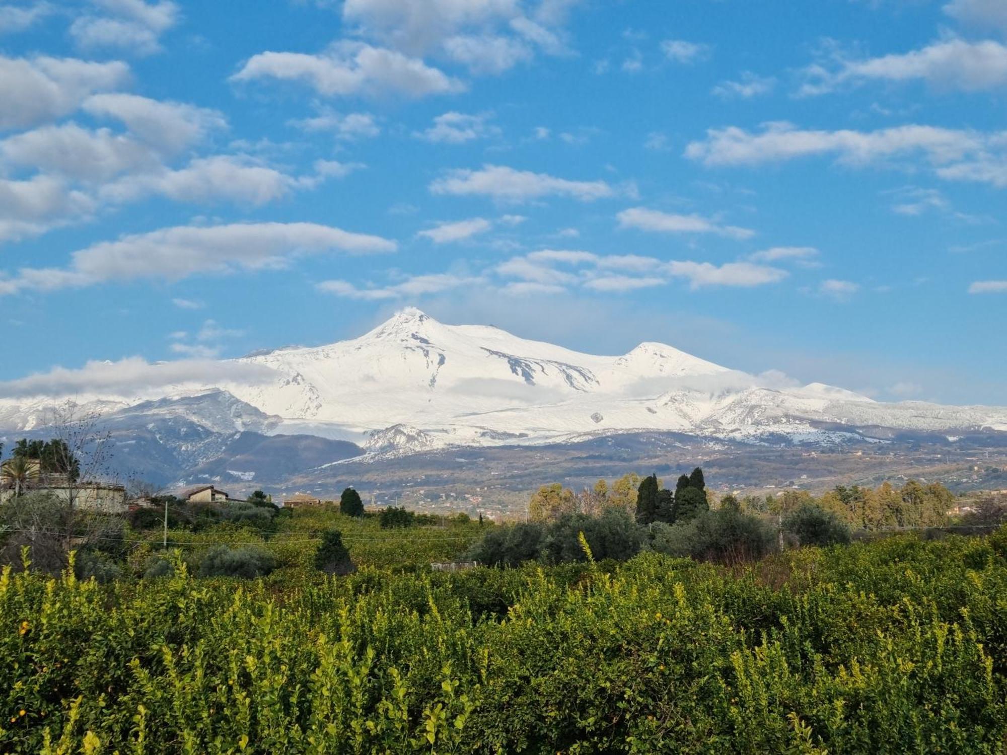 Le Dimore Del Corso II Ad Acireale Fra Catania, Taormina, Il Mare E L'Etna 외부 사진